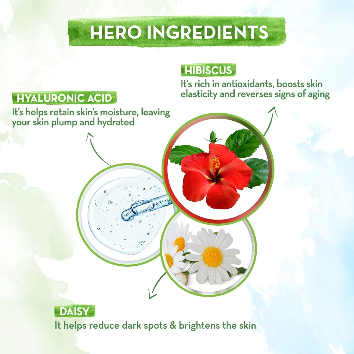 Flowers of Youth Essence Serum with Hyaluronic Acid & Hibiscus for Youthful Skin, 30ml-4.webp